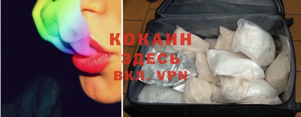 хмурый Аркадак
