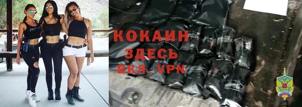 хмурый Аркадак