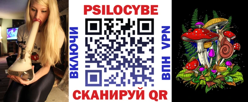 Псилоцибиновые грибы Psilocybe Михайловск
