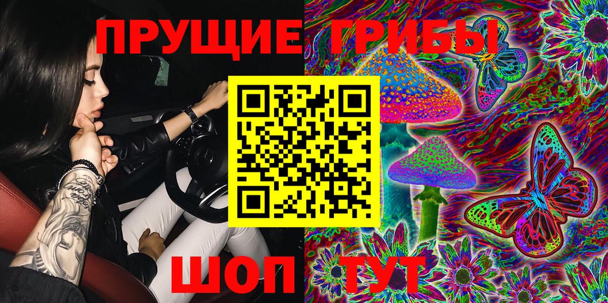 Михайловск  где можно купить   Вход с VPN  Псилоцибиновые грибы Psilocybine cubensis 